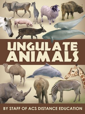 cover image of Ungulate Animals